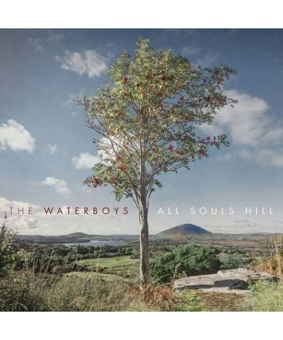 The Waterboys All Souls Hill Vinyl Record $13.20 Vinyl