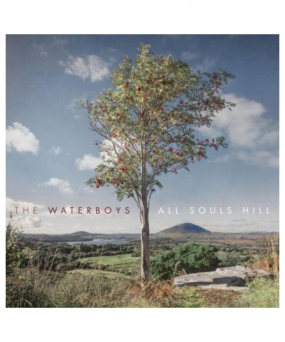 The Waterboys All Souls Hill Vinyl Record $13.20 Vinyl