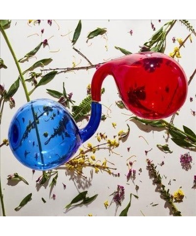 Dirty Projectors Lamp Lit Prose Vinyl Record $10.12 Vinyl