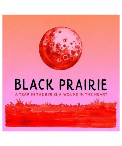 The Decemberists Black Prairie 'A Tear In The Eye Is A Wound In The Heart' CD $6.60 CD