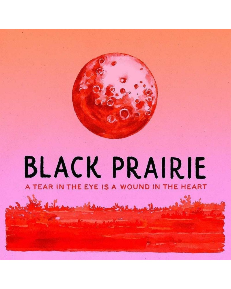 The Decemberists Black Prairie 'A Tear In The Eye Is A Wound In The Heart' CD $6.60 CD